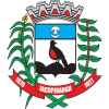 Decretos Municipais